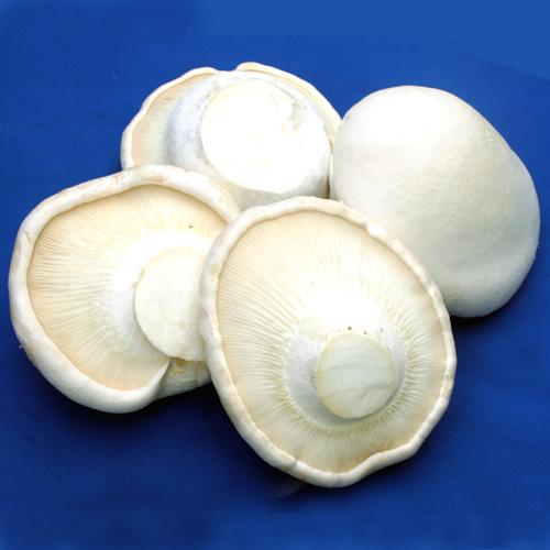 u=194640810,362333080&fm=26&gp=0.jpg u=194640810,362333080&fm=26&gp=0.jpg