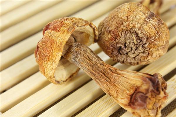 timg (1).jpg timg (1).jpg